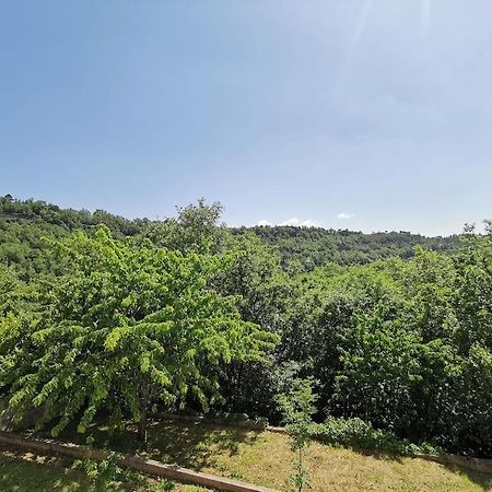 Appartement 2 Ou 4 Personnes. Venaco Venaco  Kültér fotó