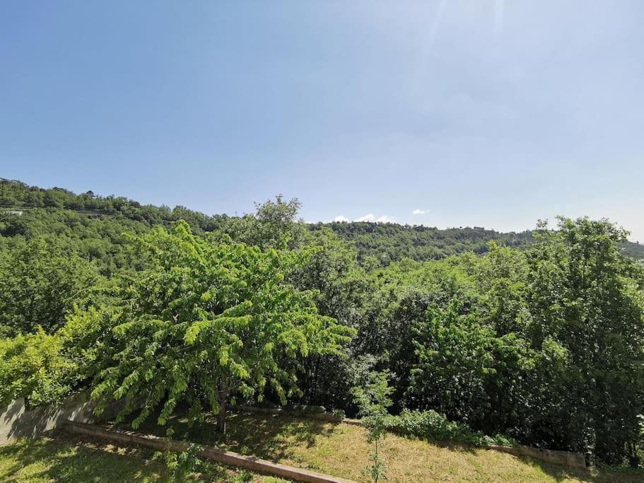 Appartement 2 Ou 4 Personnes. Venaco Venaco  Kültér fotó